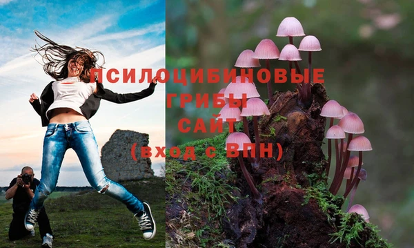 амфетамин Алексеевка