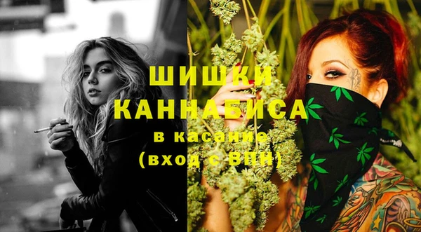 дурь Осташков